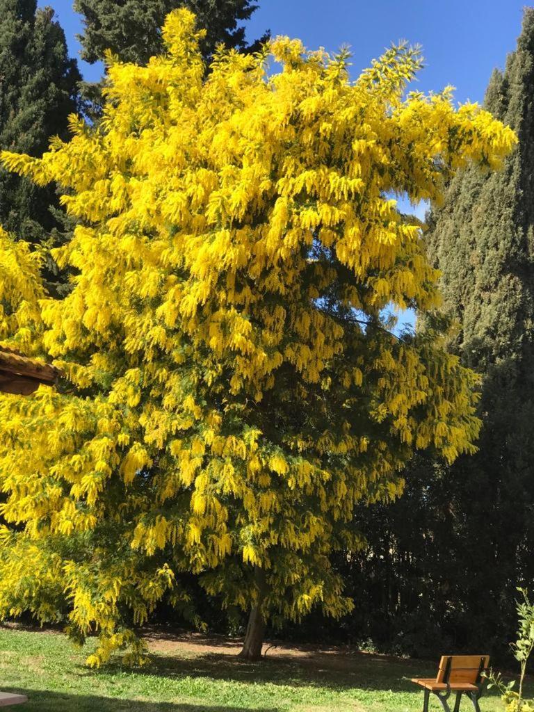 Agriturismo Podere Giulio Tarquinia Eksteriør bilde