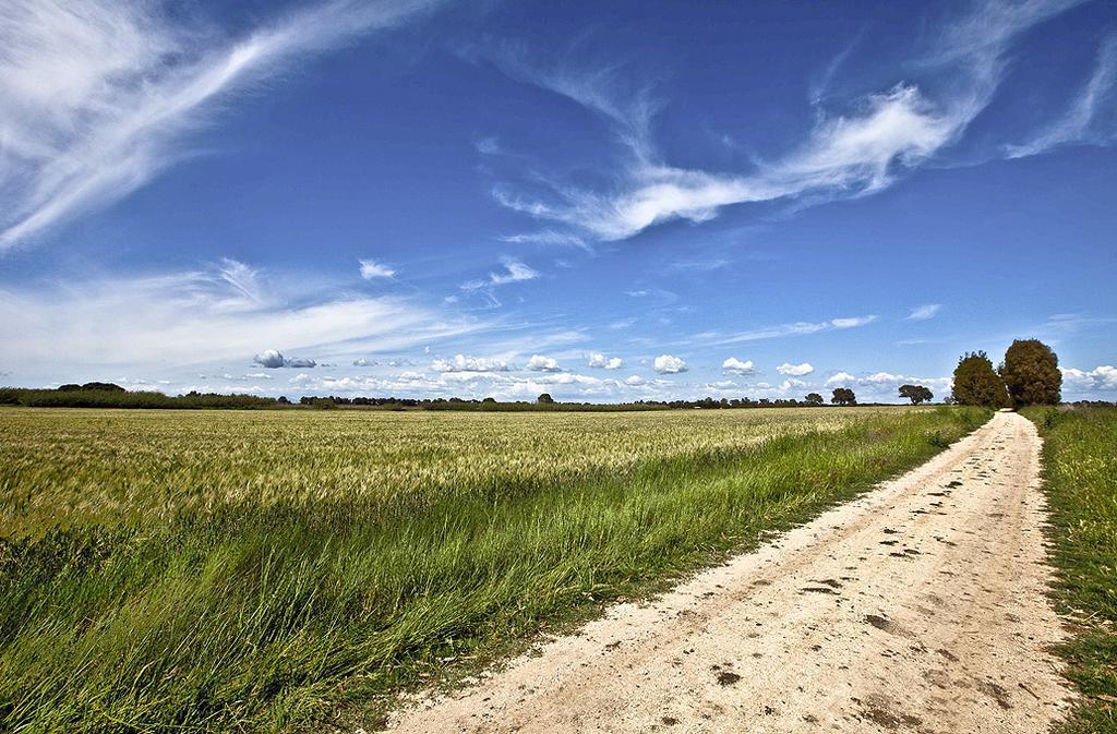 Agriturismo Podere Giulio Tarquinia Eksteriør bilde